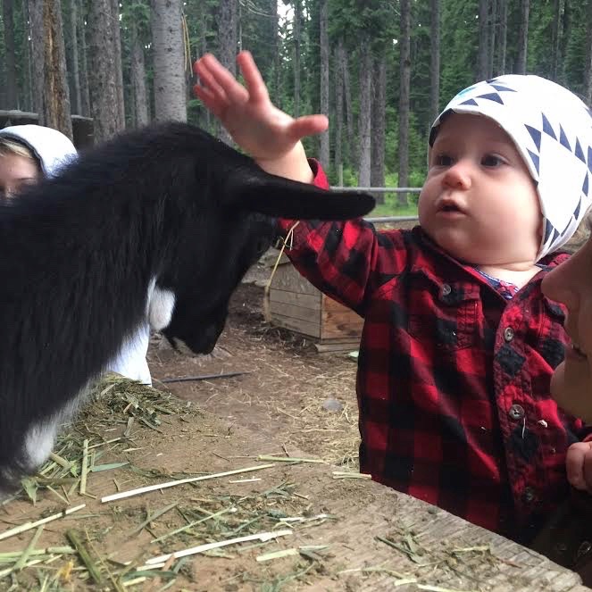 Baby with Goat
