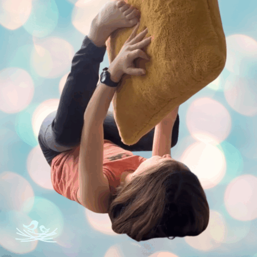 Dead Bug Dance. AltaVie Health. Dr. Amanda Stevens